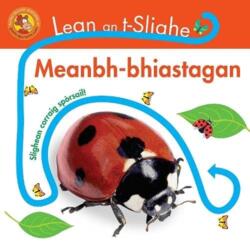 Lean an t-slighe (ISBN: 9781789070767)