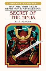 Secret of the Ninja (ISBN: 9781782694991)