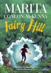 Fairy Hill (ISBN: 9781788495615)