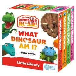 Little Library: The World of Dinosaur Roar! : What Dinosaur Am I? Slipcase (ISBN: 9781408374542)