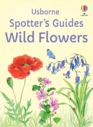 Spotter's Guides: Wild Flowers (ISBN: 9781805073017)