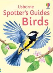 Spotter's Guides: Birds (ISBN: 9781805072997)