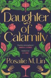 Daughter of Calamity (ISBN: 9781035011285)