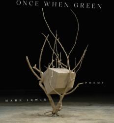 Once When Green (ISBN: 9781625348654)