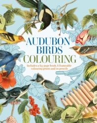 Audubon Birds Colouring Kit (ISBN: 9781398848108)