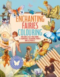 Enchanting Fairies Colouring Kit (ISBN: 9781398848085)