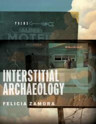Interstitial Archaeology (ISBN: 9780299353445)