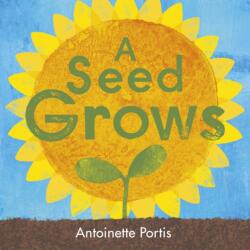 A Seed Grows (ISBN: 9781836300076)