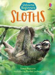 Sloths (ISBN: 9781474971638)