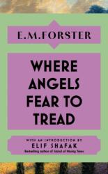 Where Angels Fear to Tread (ISBN: 9781399736169)