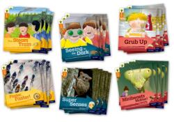 Oxford Reading Tree Explore with Biff, Chip and Kipper: Level 6: Class Pack of 36 (ISBN: 9780198396925)