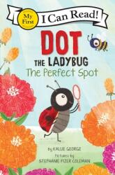 Dot the Ladybug: The Perfect Spot (ISBN: 9780063137523)