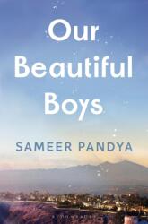 Our Beautiful Boys (ISBN: 9781526676924)