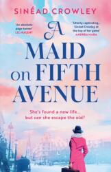 Maid on Fifth Avenue (ISBN: 9781801105699)