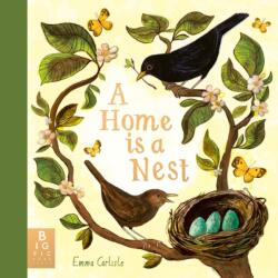 A Home is a Nest (ISBN: 9781800786103)