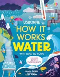 How It Works: Water - Kaley McKean (ISBN: 9781805071266)