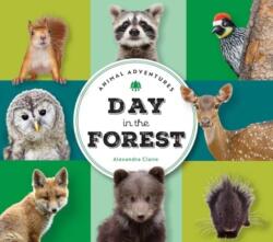 Animal Adventures: Day in the Forest (ISBN: 9781685556433)