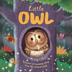 Little Owl (ISBN: 9781837714346)