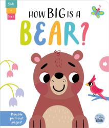 How Big is a Bear? (ISBN: 9781917082587)