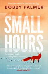 Small Hours (ISBN: 9781035402687)