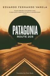 Patagonia Route 203 (ISBN: 9781800699052)