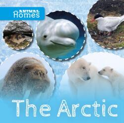 Arctic (ISBN: 9781786371362)