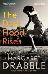 The Dark Flood Rises (ISBN: 9781782118336)