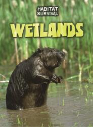 Wetlands (ISBN: 9781406239980)