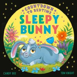 Countdown to Bedtime Sleepy Bunny (ISBN: 9780008660154)