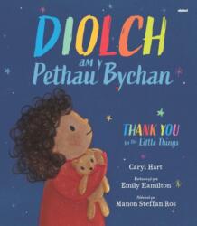 Diolch am y Pethau Bychan / Thank you for the Little Things (ISBN: 9781801063425)