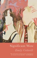 Significant Wow (ISBN: 9781781727720)