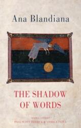 The Shadow of Words (ISBN: 9781780375403)