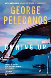 Owning Up (ISBN: 9781398721197)