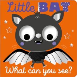 Little Bat What Can You See? (ISBN: 9781805442059)