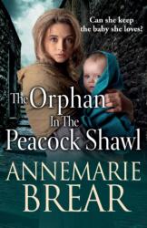 The Orphan in the Peacock Shawl (ISBN: 9781801627573)