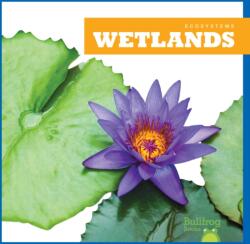Wetlands (ISBN: 9781620316832)