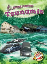 Tsunamis (ISBN: 9781644870280)