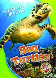 Sea Turtles (ISBN: 9781626174221)