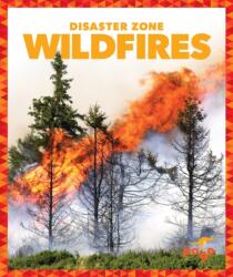 Wildfires (ISBN: 9781620314005)