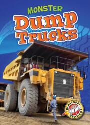 Monster Dump Trucks (ISBN: 9781600149382)