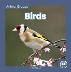 Birds (ISBN: 9781646198078)