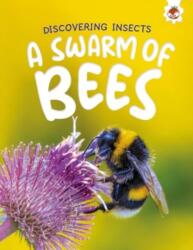 Discovering Insects: A Swarm of Bees (ISBN: 9781835694206)