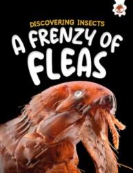 Discovering Insects: A Frenzy of Fleas (ISBN: 9781835694190)