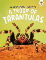 Discovering Insects: A Troop of Tarantulas (ISBN: 9781835694176)
