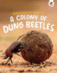 Discovering Insects: A Colony of Dung Beetles (ISBN: 9781835694169)