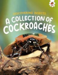 Discovering Insects: A Collection of Cockroaches (ISBN: 9781835694152)