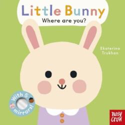 Baby Faces: Little Bunny, Where Are You? (ISBN: 9781805132974)