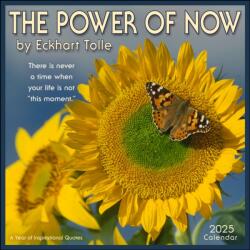 Power of Now 2025 Wall Calendar (ISBN: 9781524891138)