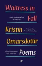 Waitress in Fall (ISBN: 9781913196042)