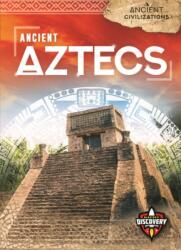 Ancient Aztecs (ISBN: 9781644871737)